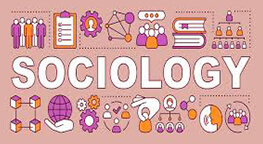 Socialogy Class Help